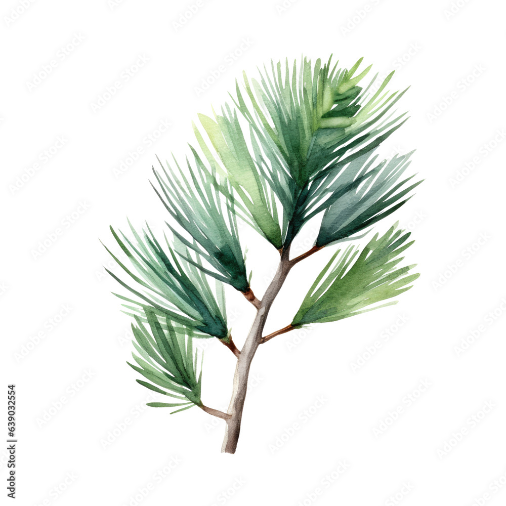 Pine branch watercolour illustration. clipart for design. Christmas elements. isolated on transparent background. Generative ai