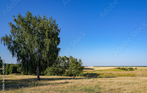 landscape in the countryside
