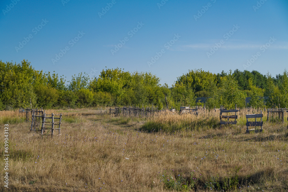 Fototapeta premium landscape with a fence