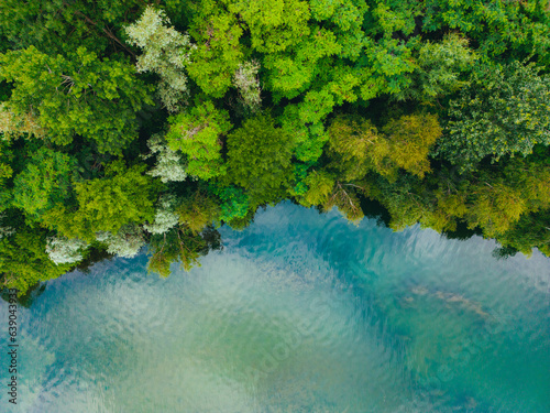 Aerial drone top down view of lake among forest with beautiful turquoise water in summer day. 