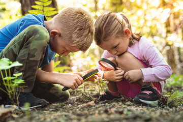 Kids exploring in forest with a magnifying glass.