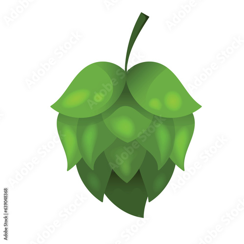 oktoberfest Humulus Hop. Green humulus lupulus  illustration element. vector flat background for oktoberfest beer festival celebration