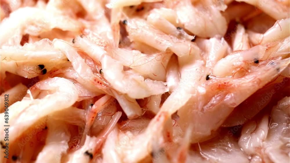 Flavorful Tradition: 4K Dolly Shot of Small Salted Shrimp for Kimchi Preparation Flavorful Tradition: 4K Dolly Shot of Small Salted Shrimp for Kimchi Preparation
