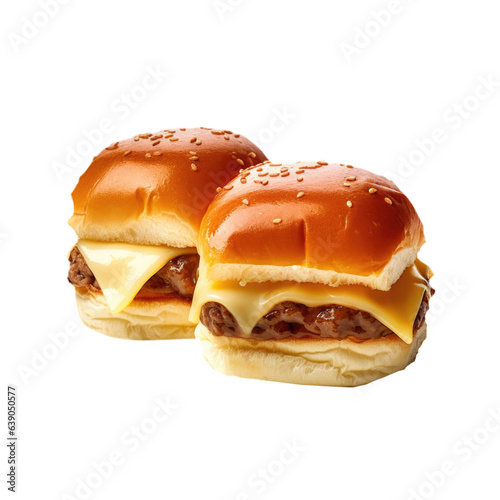 Delicious Sliders Isolated ...