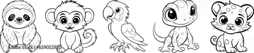 Tropical rainforest jungle animals. Sloth, monkey, macaw, gecko and jaguar cat animal friends. Black isolated outline vector for cartoon children coloring book page.
