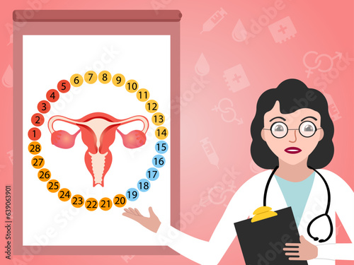 Doctor's presentation of women's stages of the menstrual cycle