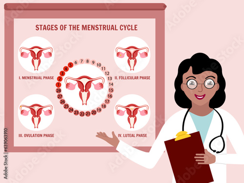 Doctor's presentation of women's stages of the menstrual cycle, menstrual phase, follicular phase, ovulation phase, luteal phase