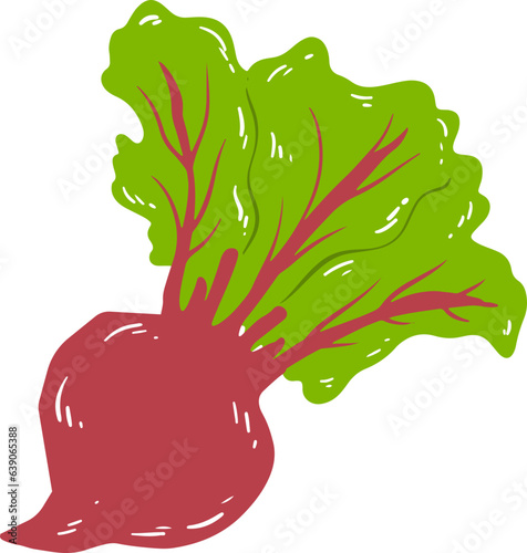 Organic Beet Root