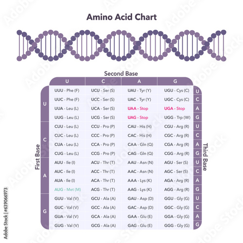Amino Acid Codon Table genome sciences vector graphic