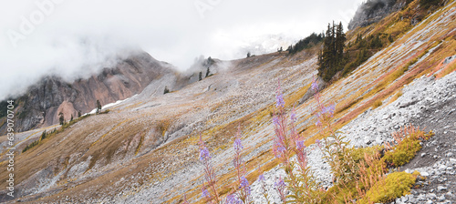 landscape with snow