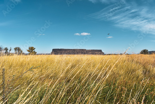 wheat field, mountain and sky