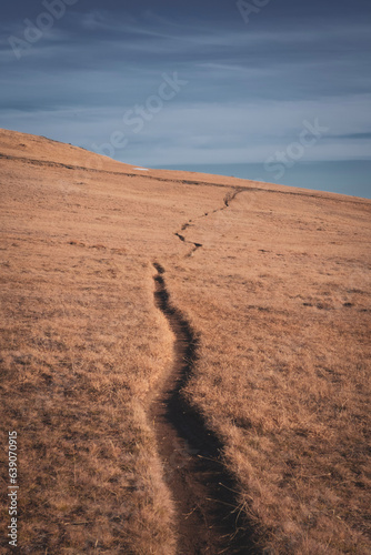 sand dunes in park