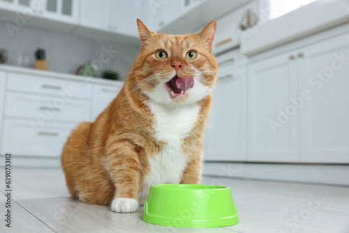 Valokuva Cute ginger cat near feeding bowl in kitchen. Space for text