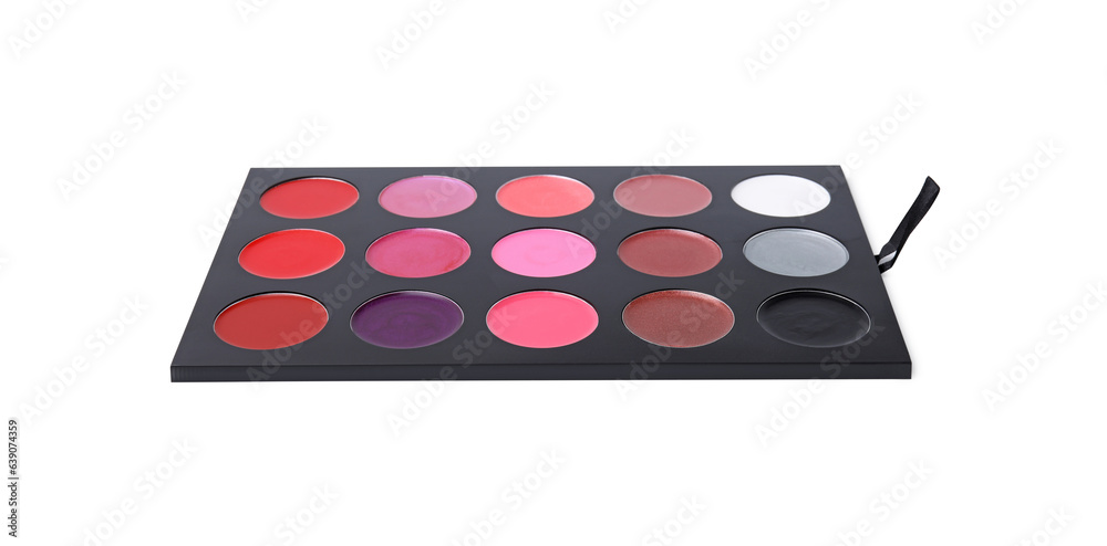 Cream lipstick palette isolated on white. Professional cosmetic product Cream lipstick palette isolated on white. Professional cosmetic product