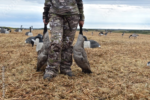 Woman Hunting Water Fowl Ducks Geese in Canada with Camo On