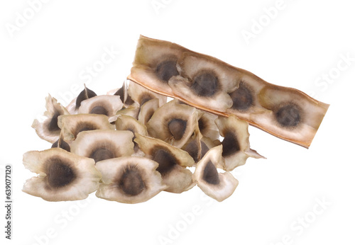 Moringa Oleifera Medicinal and Culinary Fruit Seed Closeup Isolated transparent png