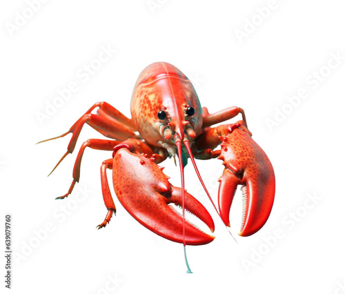A partially eaten red lobster