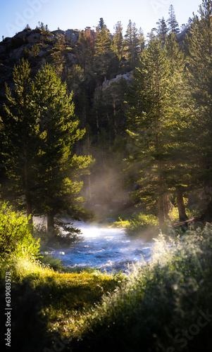 autumn in the forest