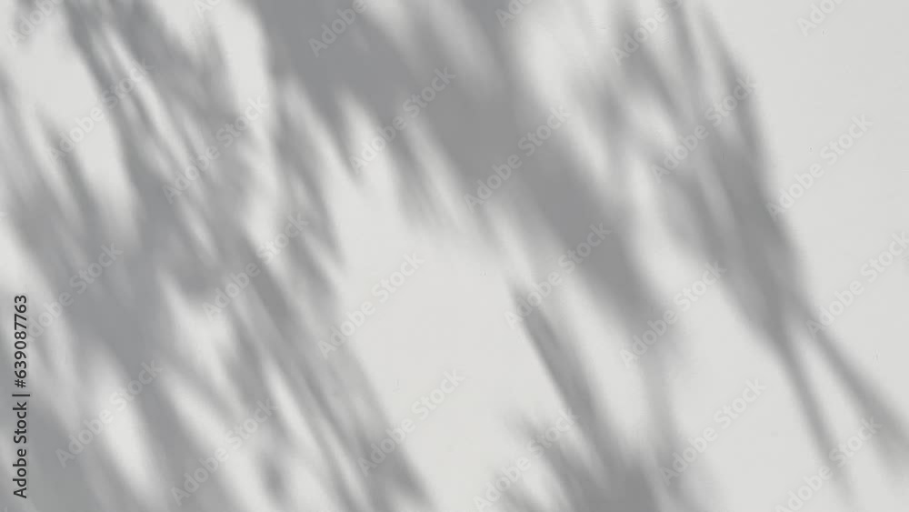 Leaves sunlight natural shadow overlay on white texture background wall. Transparent soft light and shadows from branches, plant, foliage and leaves.