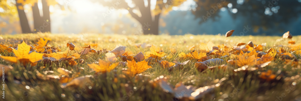 A photorealism of idyllic fall leaf meadow background in sunshine, close-up of an autumn nature scene in a garden in golden october A photorealism of idyllic fall leaf meadow background in sunshine, close-up of an autumn nature scene in a garden in golden october