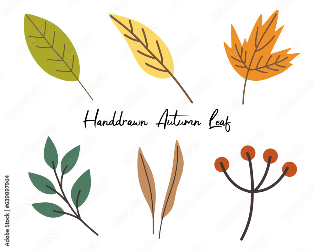 Handdrawn autumn leaf element set