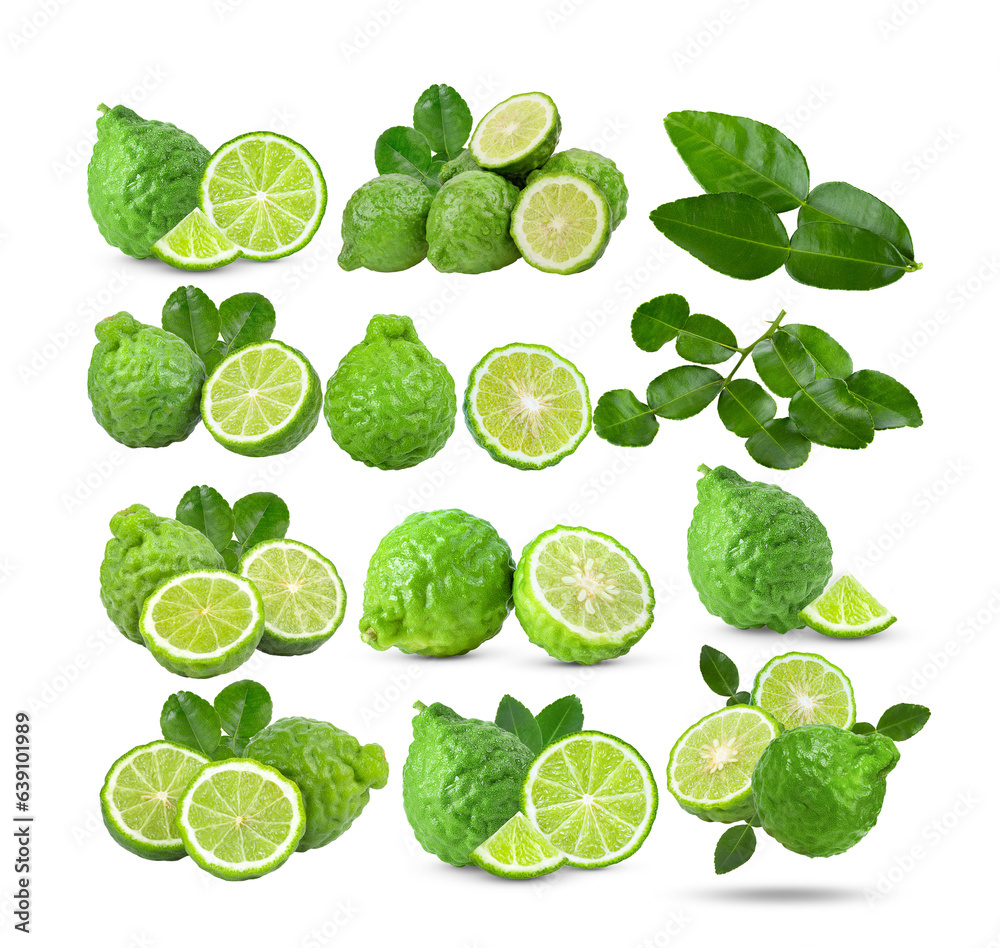 bergamot or kaffir  on transparent png