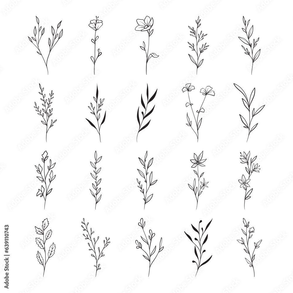  Plant hand drawn vector set 