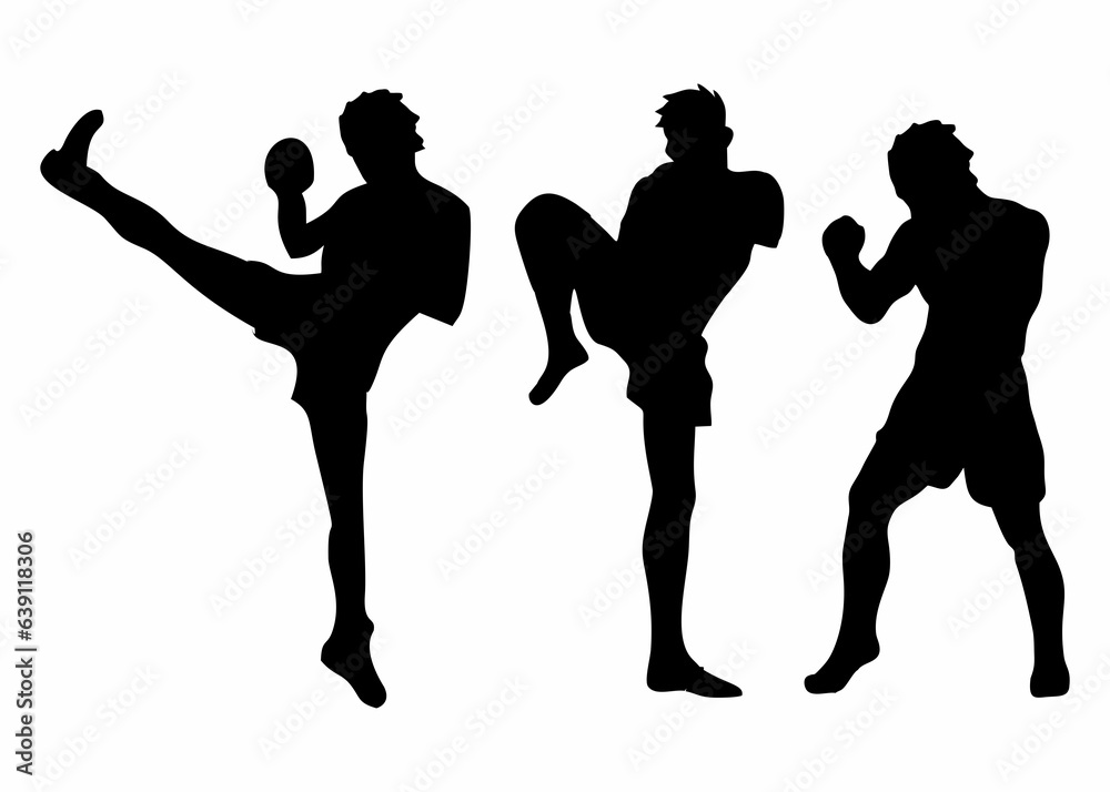 silhouette of martial arts movement steps