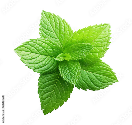 fresh mint on transparent background Remove png, Clipping Path