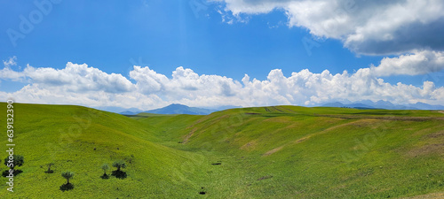 field and blue sky