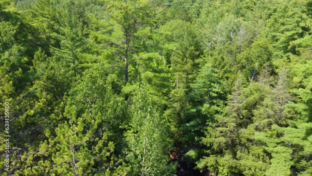 Beautiful Aerial View Over Lush Green Forest And Flowing Water Of Duchesnay Falls, North Bay, Ontario Beautiful Aerial View Over Lush Green Forest And Flowing Water Of Duchesnay Falls, North Bay, Ontario