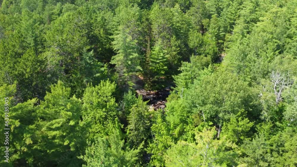 Duchesnay Falls, Ontario - Trail crossing revealed in wilderness Duchesnay Falls, Ontario - Trail crossing revealed in wilderness