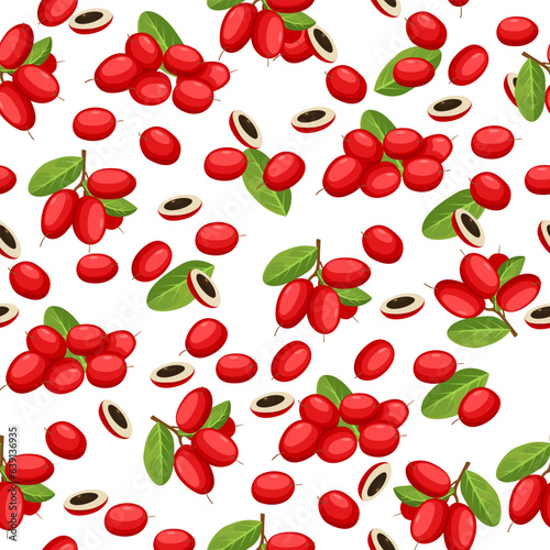 Miracle fruits seamless pattern background, vector illustration.