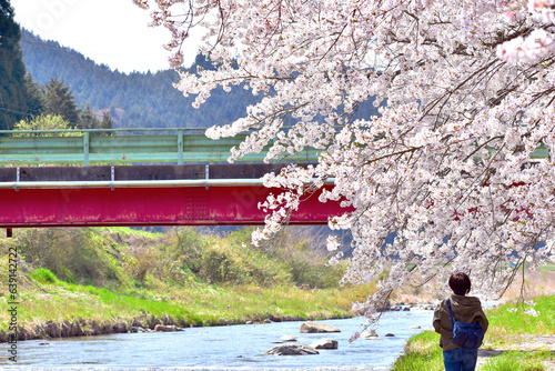 美甘宿場桜 photo