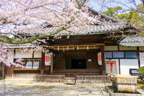 金刀比羅本教総本部　こんぴら表参道