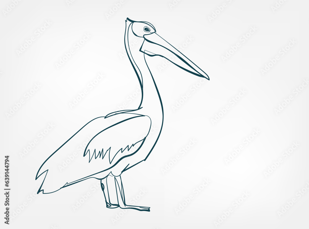 Fototapeta premium pelican vector line art animal wild life single one line hand drawn illustration isolated