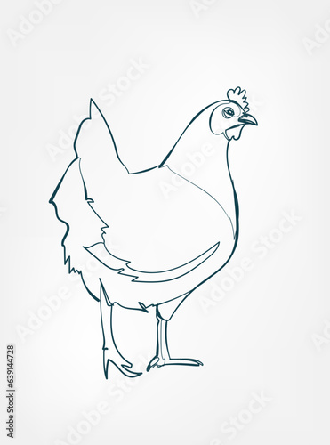 chicken vector line art animal wild life single one line hand drawn illustration isolated