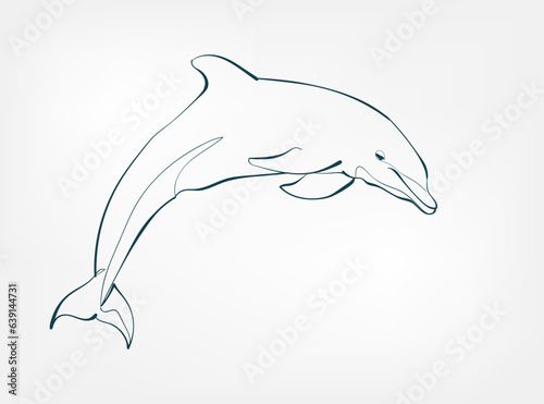 dolphin vector line art animal wild life single one line hand drawn illustration isolated
