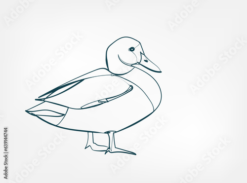 drake vector line art animal wild life single one line hand drawn illustration isolated