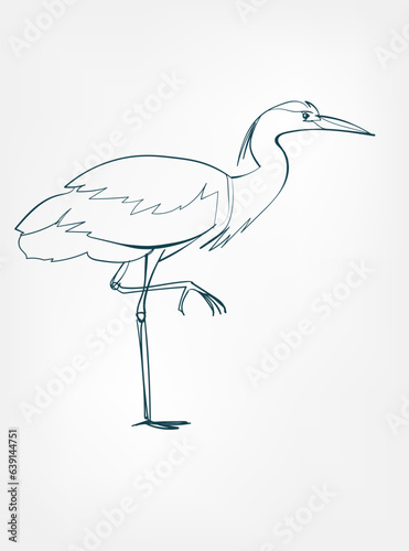 heron vector line art animal wild life single one line hand drawn illustration isolated