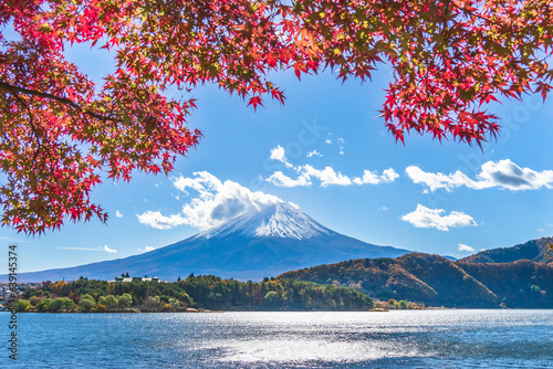                                                                                                     Lake Kawaguchi and Mt. Fuji in autumn leaves - Yamanashi  Japan