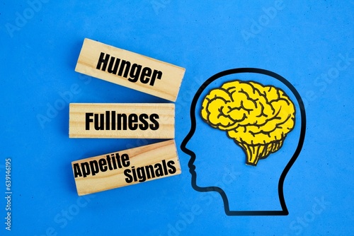 Slika na platnu brain and stick shapes with the words Hunger, Fullness, and Appetite Signals