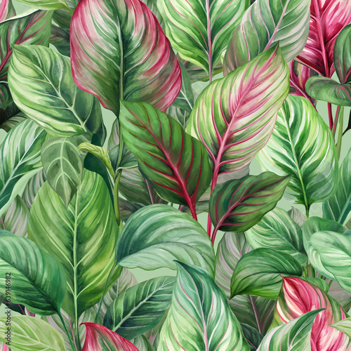  Green palm leaf pattern. Tropical plants. Watercolor botany.
