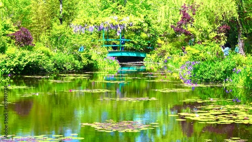 高知県　北川村モネの庭マルモッタンの睡蓮の池 photo