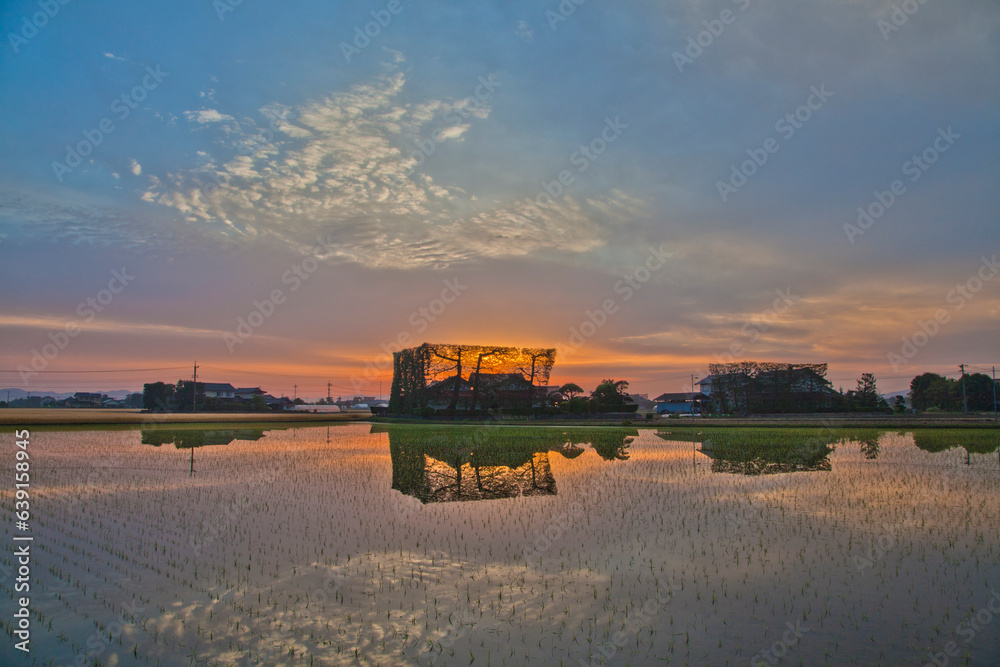Fototapeta premium 田舎の早朝