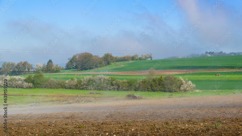Fototapeta premium Paysage printanier à la campagne