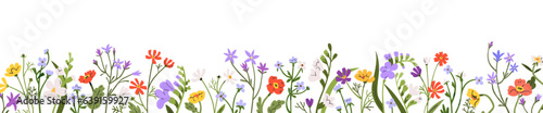 Flowers border. Spring and summer floral plants, garden and meadow blooms. Horizontal botanical decoration. Wildflowers, nature banner. Flat graphic vector illustration isolated on white background