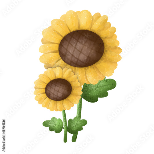 Beautiful Sunflowers,floral,Flower,plant,flora,nature,watercolor,cartoon character,cute,icon ,vector, illustration,hand drawn