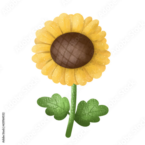 Beautiful Sunflowers,floral,Flower,plant,flora,nature,watercolor,cartoon character,cute,icon ,vector, illustration,hand drawn
