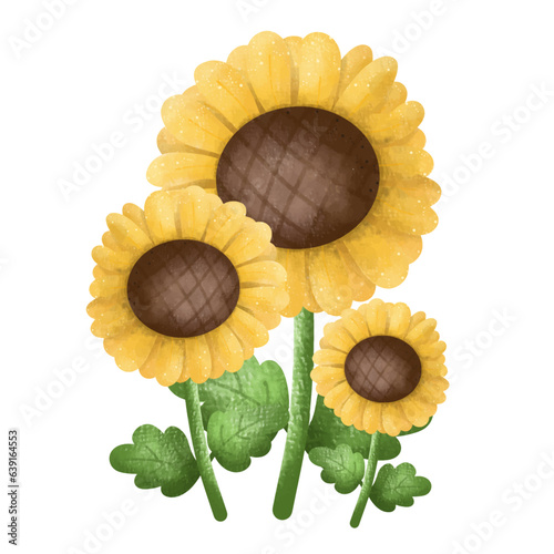 Beautiful Sunflowers,floral,Flower,plant,flora,nature,watercolor,cartoon character,cute,icon ,vector, illustration,hand drawn